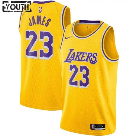 Maglia Los Angeles Lakers LeBron James 23 2020-21 Nike Icon Edition Swingman - Bambino
